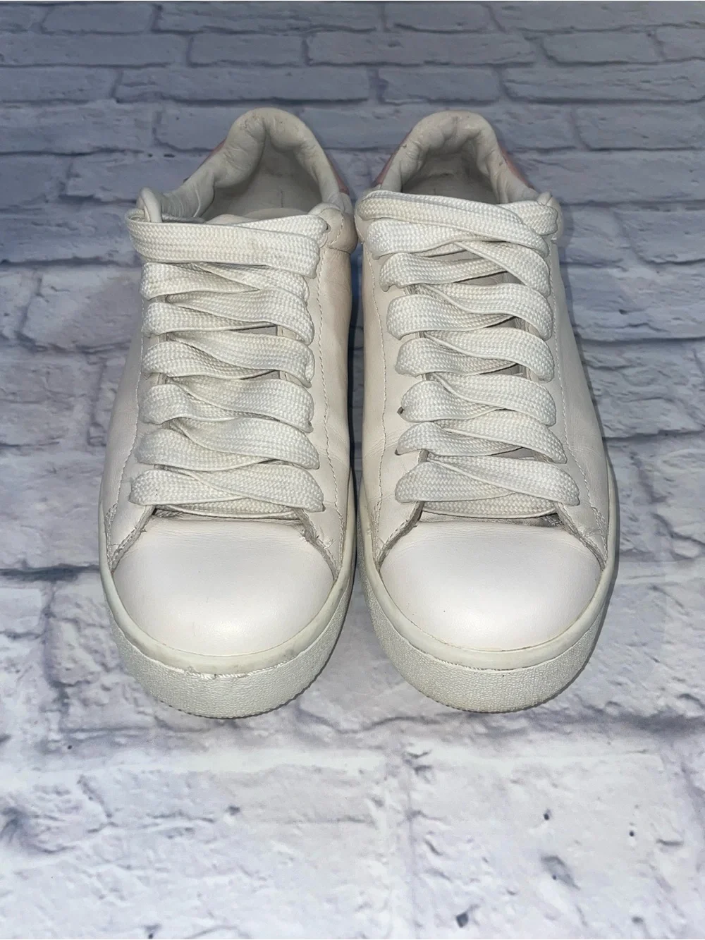 Coach C101 Low Top Sneaker. Size 10